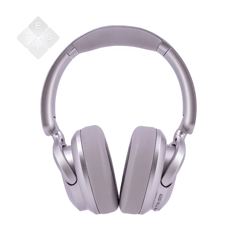 Audífono inalámbricos TEROS TE-8038RS